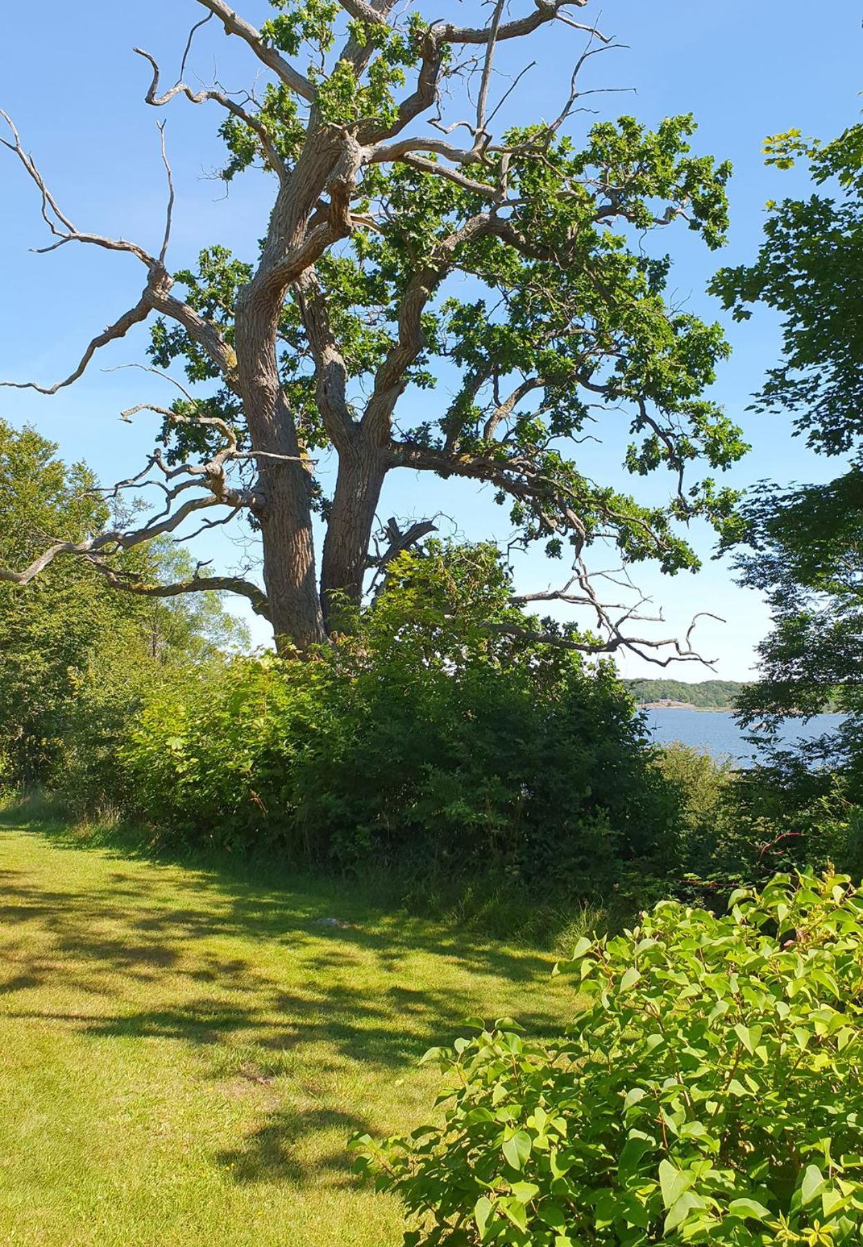 Skaerva Herrgard Karlskrona Zewnętrze zdjęcie