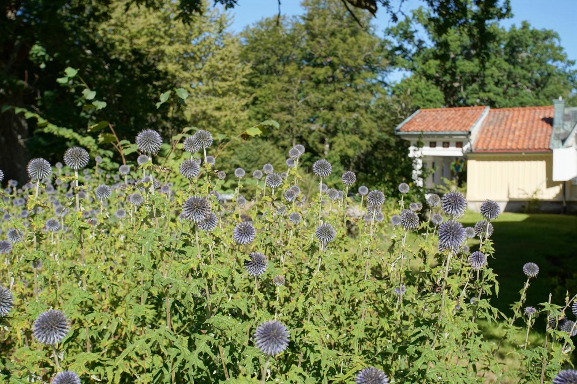 Skaerva Herrgard Karlskrona Zewnętrze zdjęcie